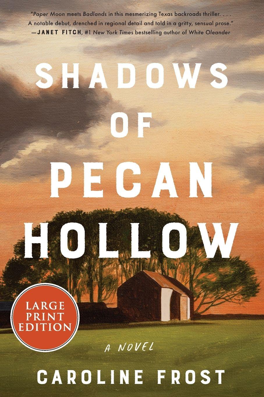 Vorderes Coverbild Shadows of Pecan Hollow LP