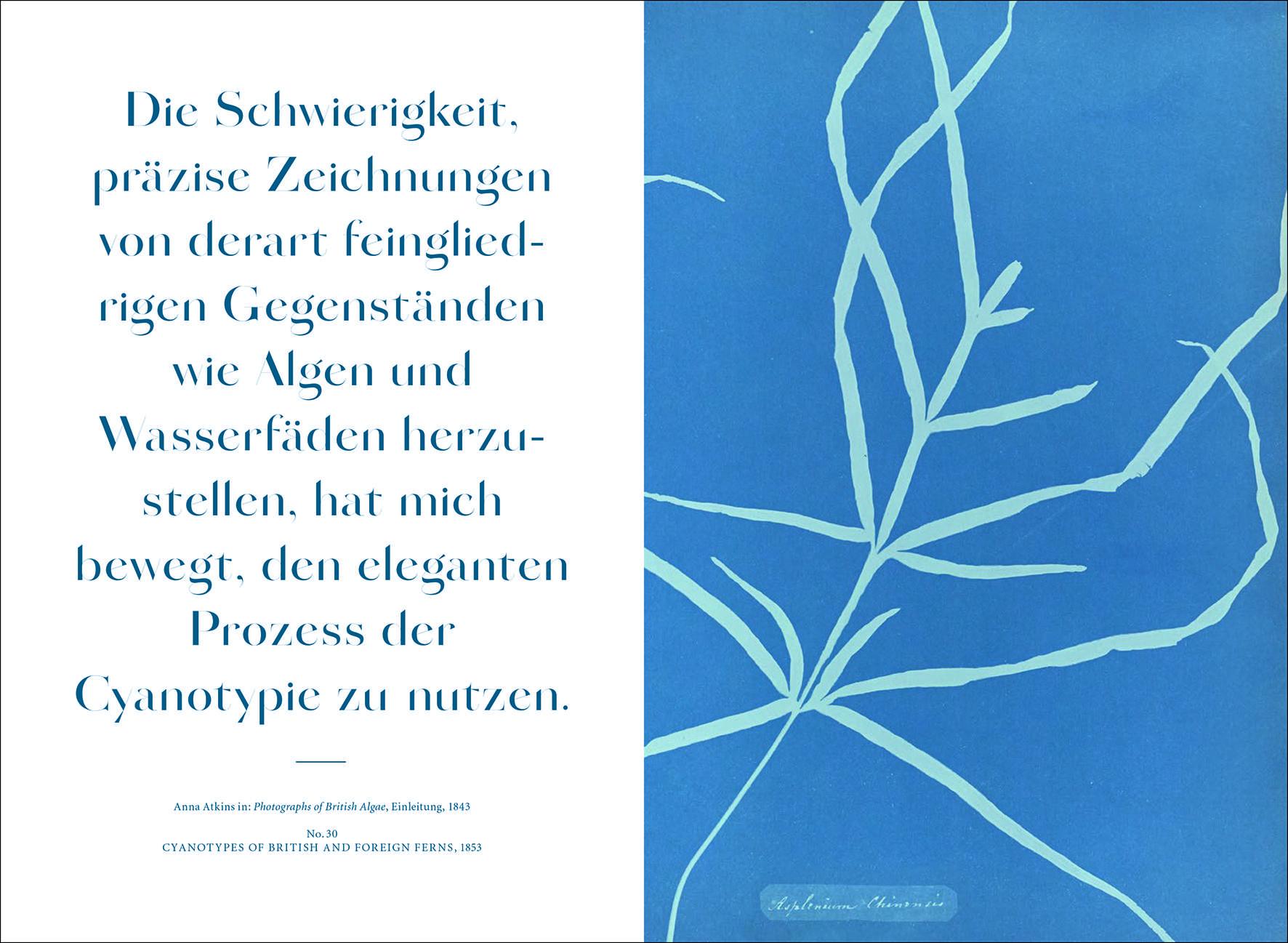 Beispielinhalt (Bild) Anna Atkins