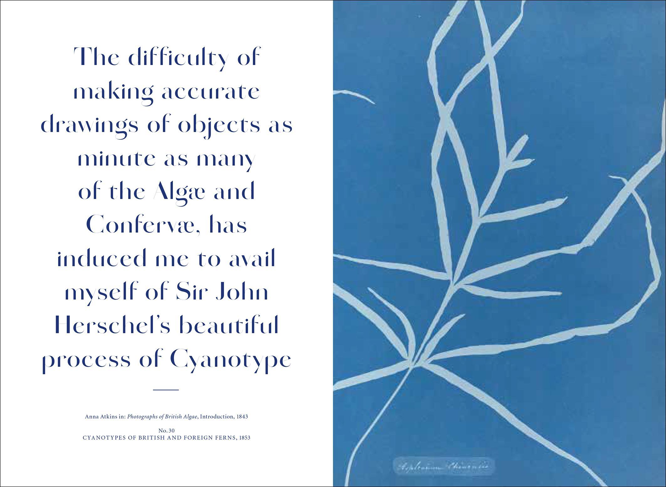 Beispielinhalt (Bild) Anna Atkins