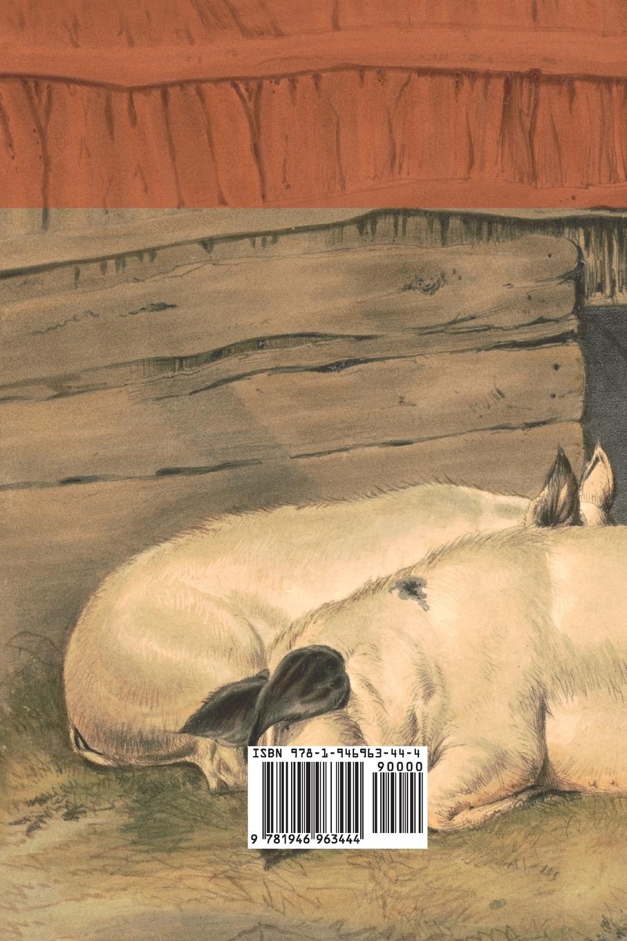 Rückseitencover Animal Farm