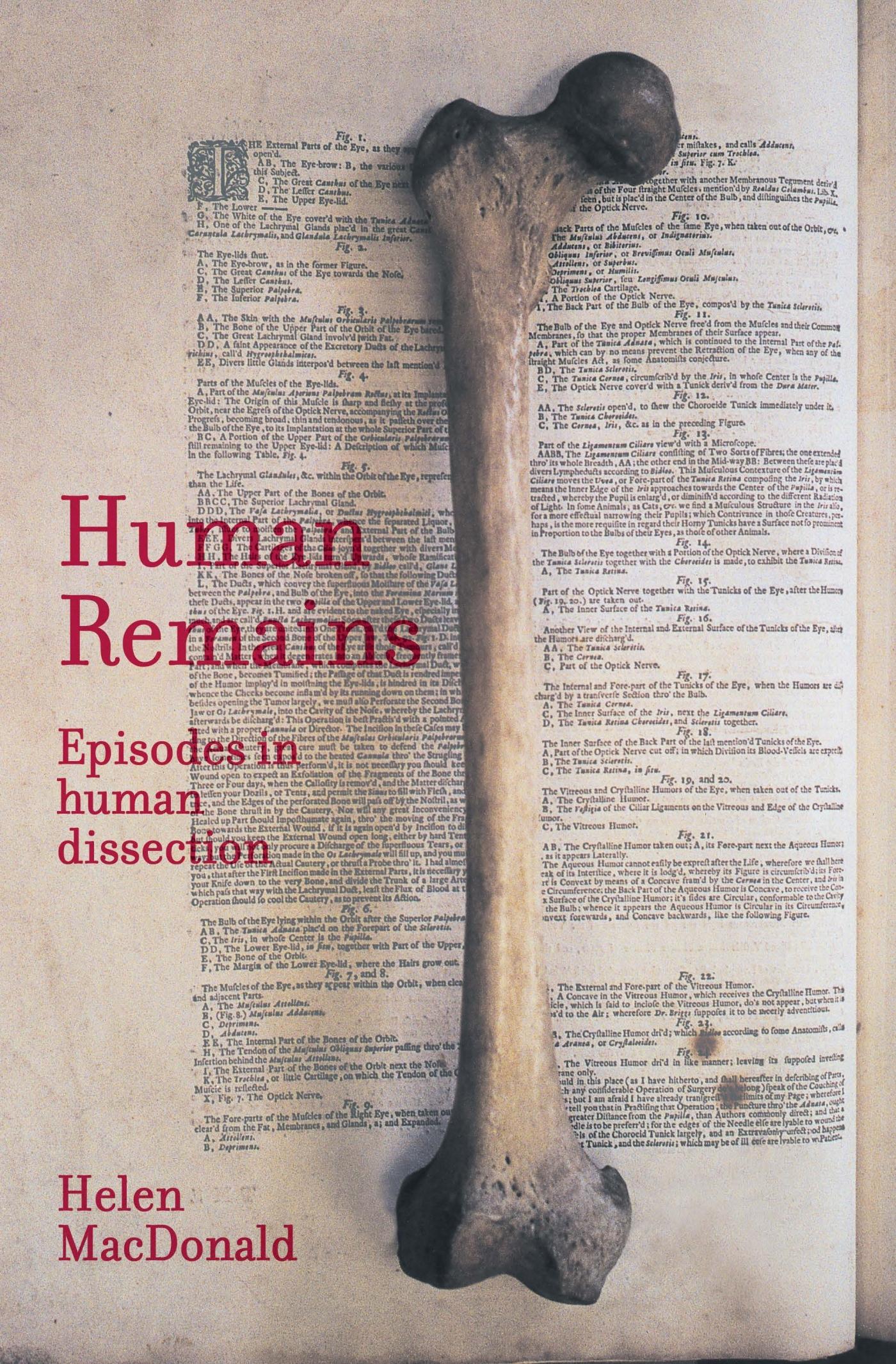Vorderes Coverbild Human Remains