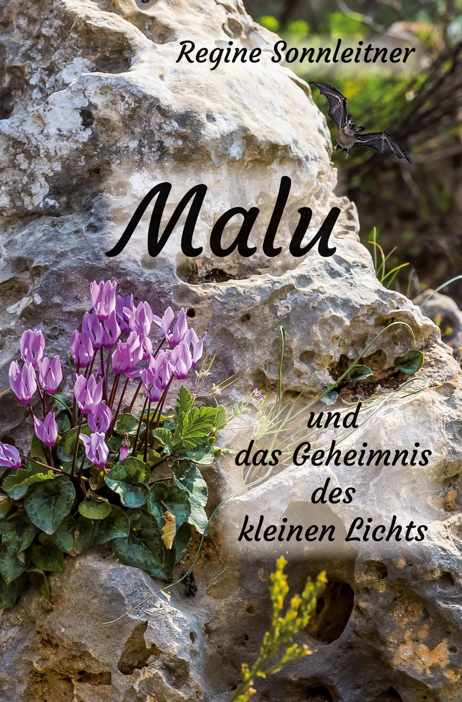 Vorderes Coverbild Malu und das Geheimnis des kleinen Lichts