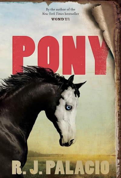 Vorderes Coverbild Pony