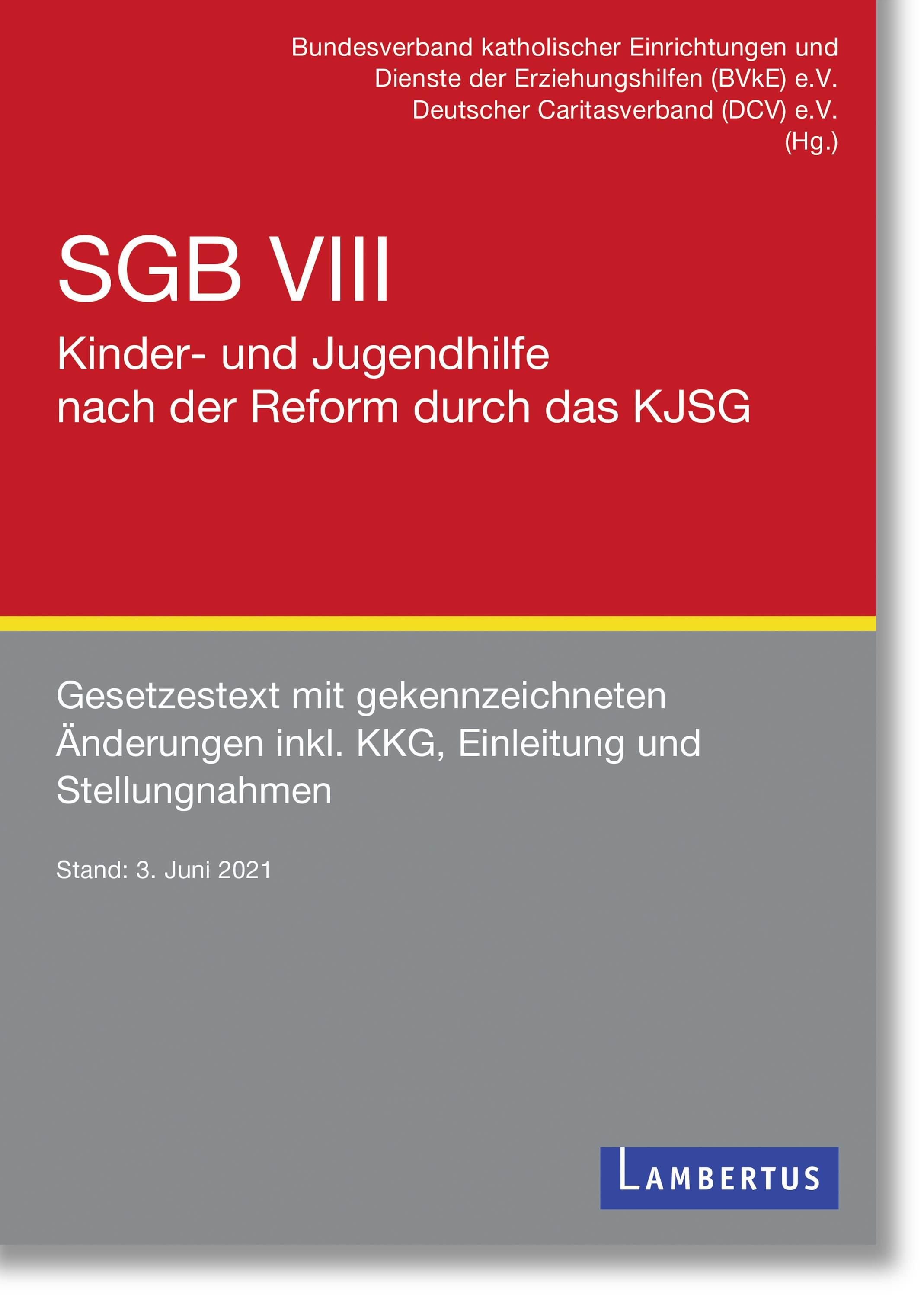 Vorderes Coverbild SGB VIII - Kinder- und Jugendhilfe nach der Reform durch das KJSG
