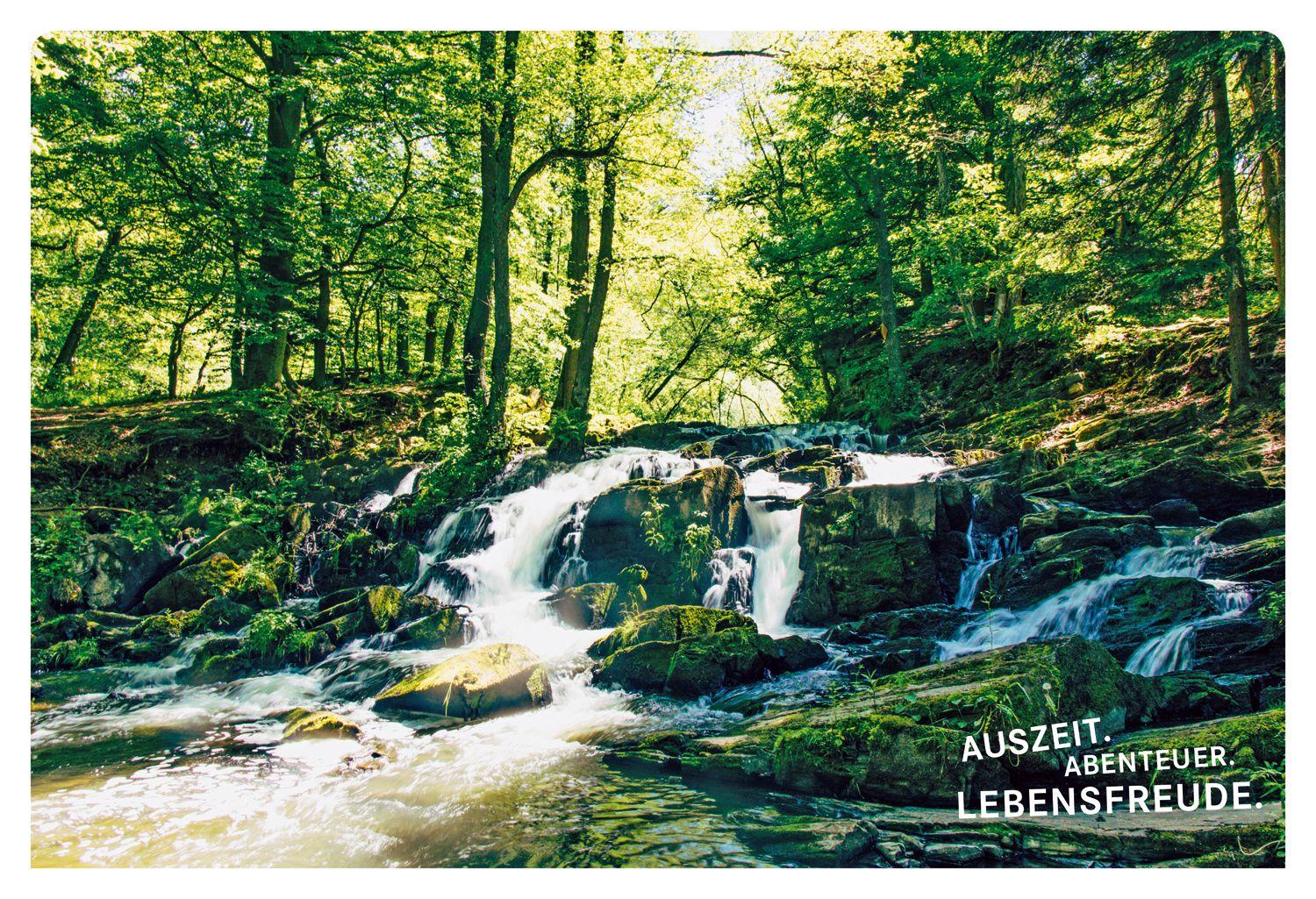 Beispielinhalt (Bild) 52 kleine & große Eskapaden rund um Harz