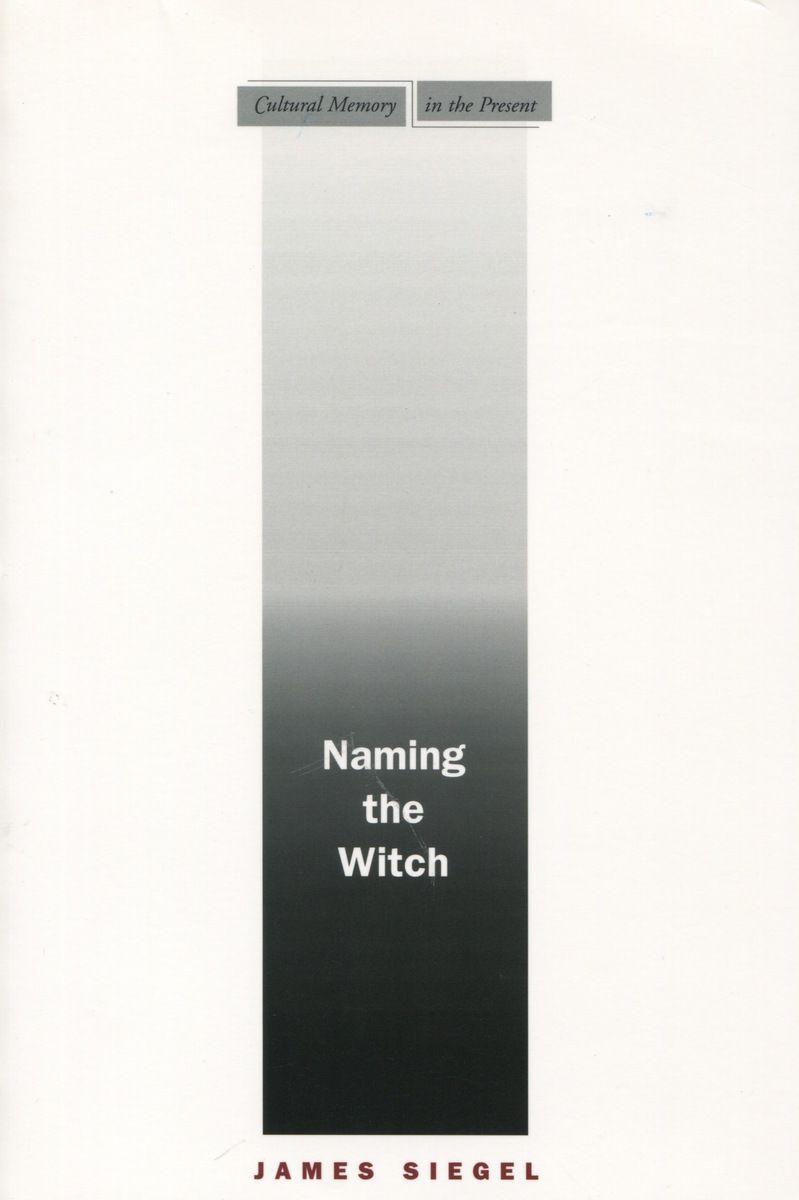 Vorderes Coverbild Naming the Witch