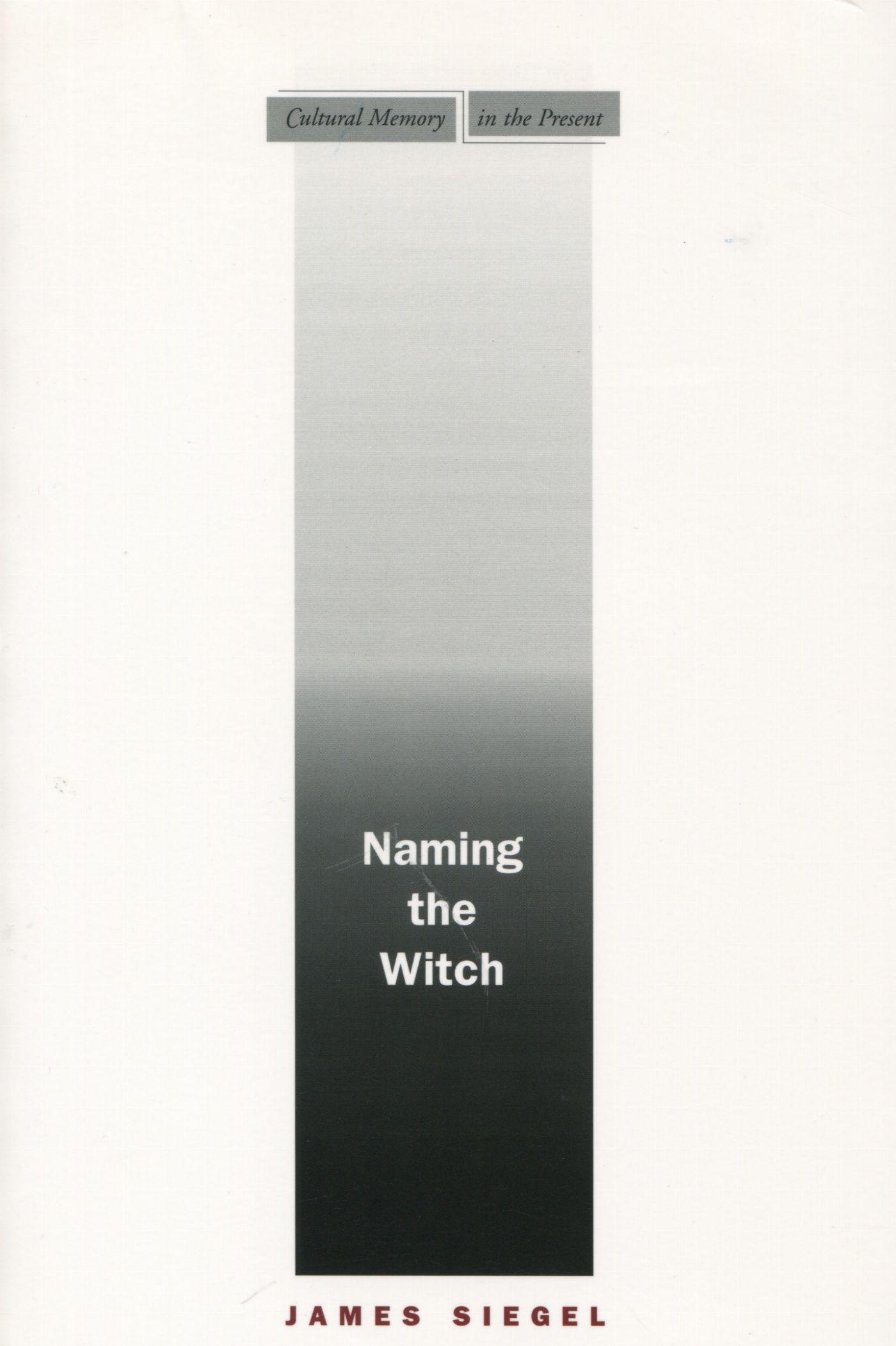 Vorderes Coverbild Naming the Witch