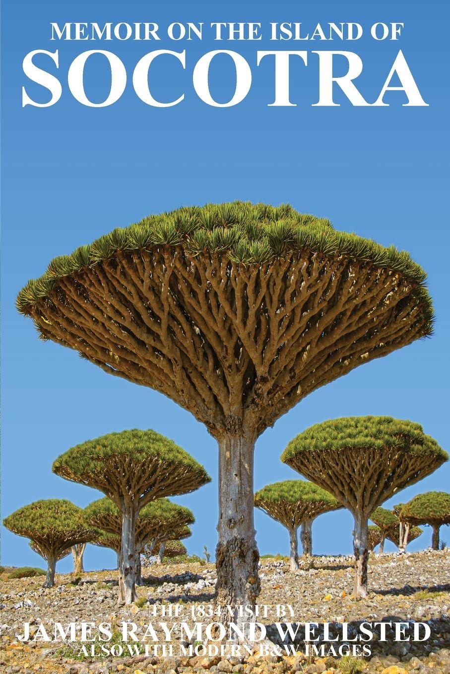 Vorderes Coverbild SOCOTRA
