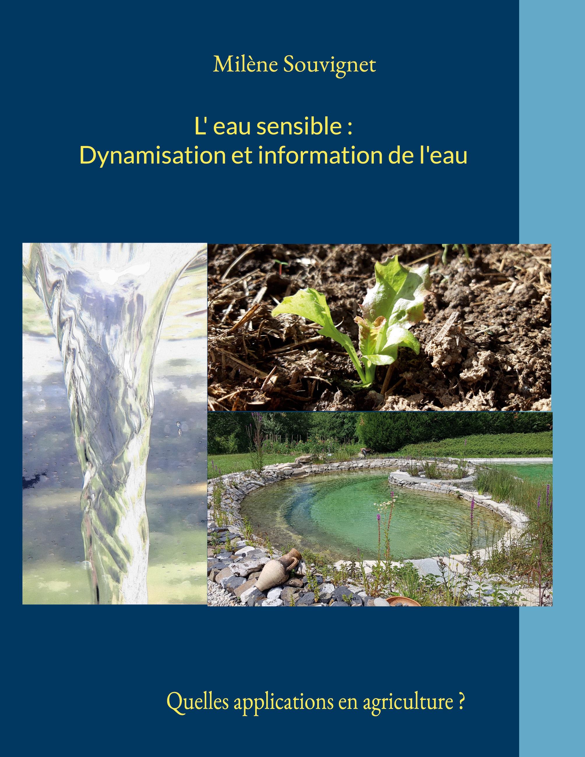Vorderes Coverbild L'eau sensible : Dynamisation et information de l'eau