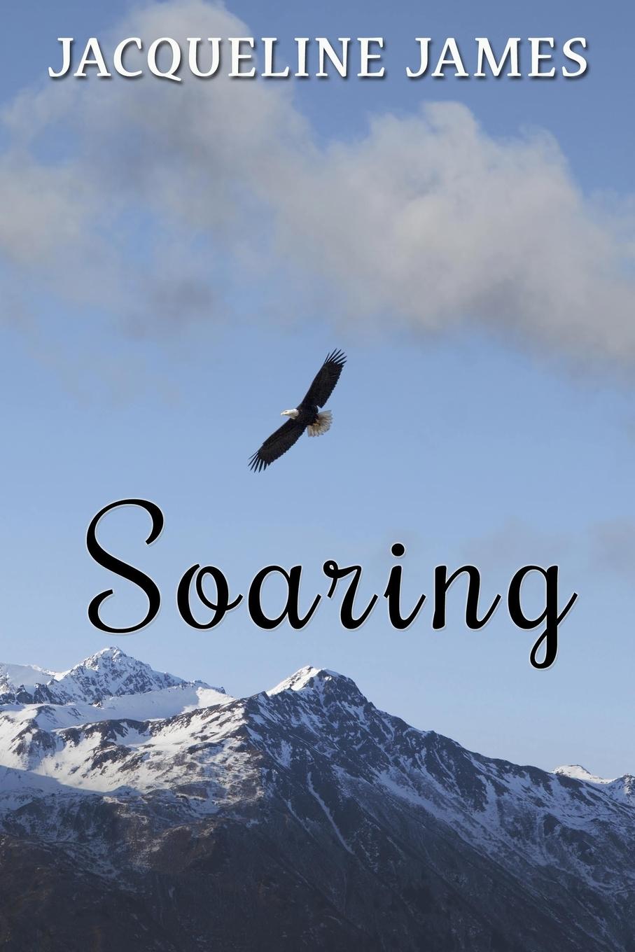 Vorderes Coverbild Soaring