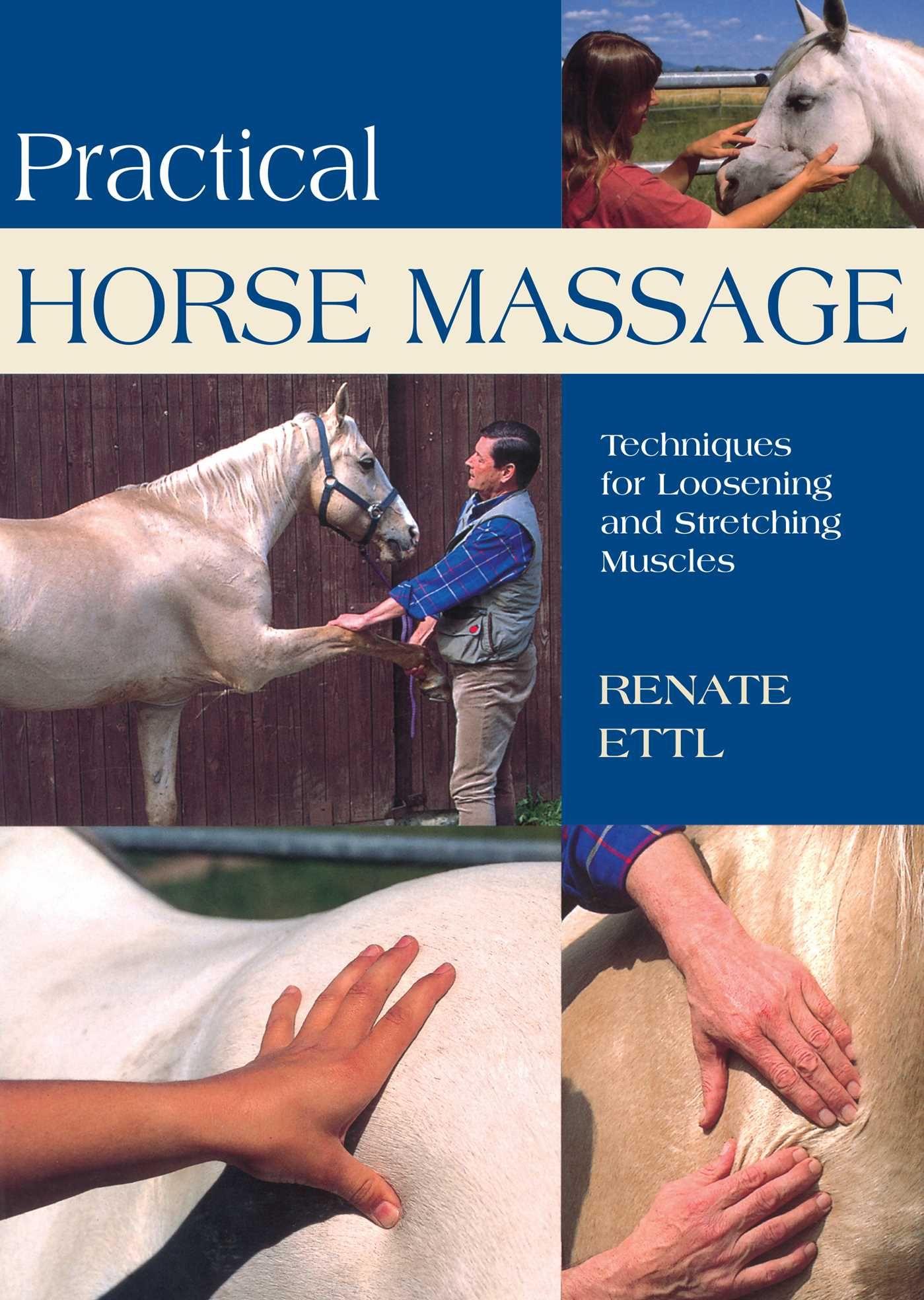 Vorderes Coverbild Practical Horse Massage