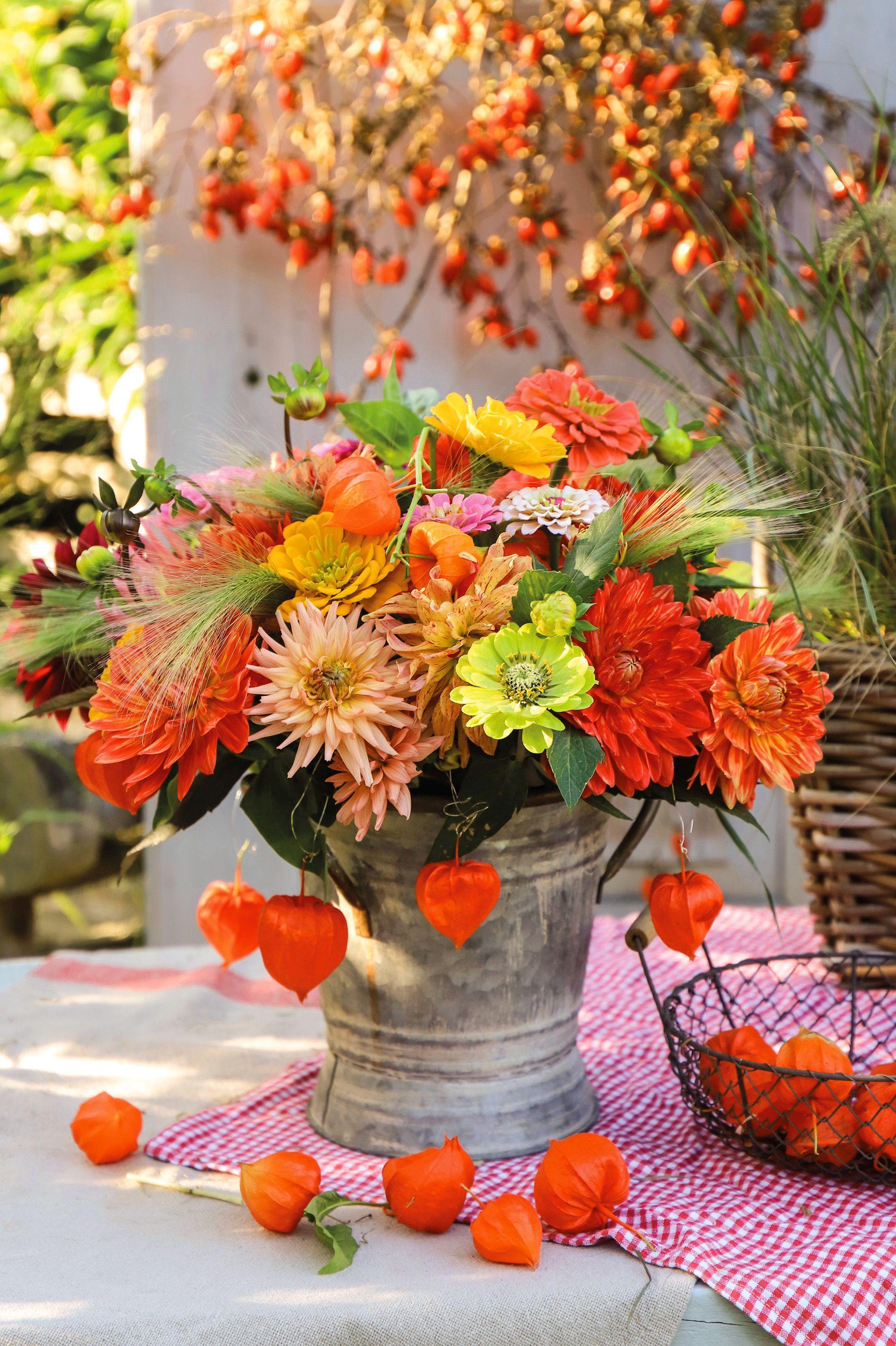 Beispielinhalt (Bild) Herbst