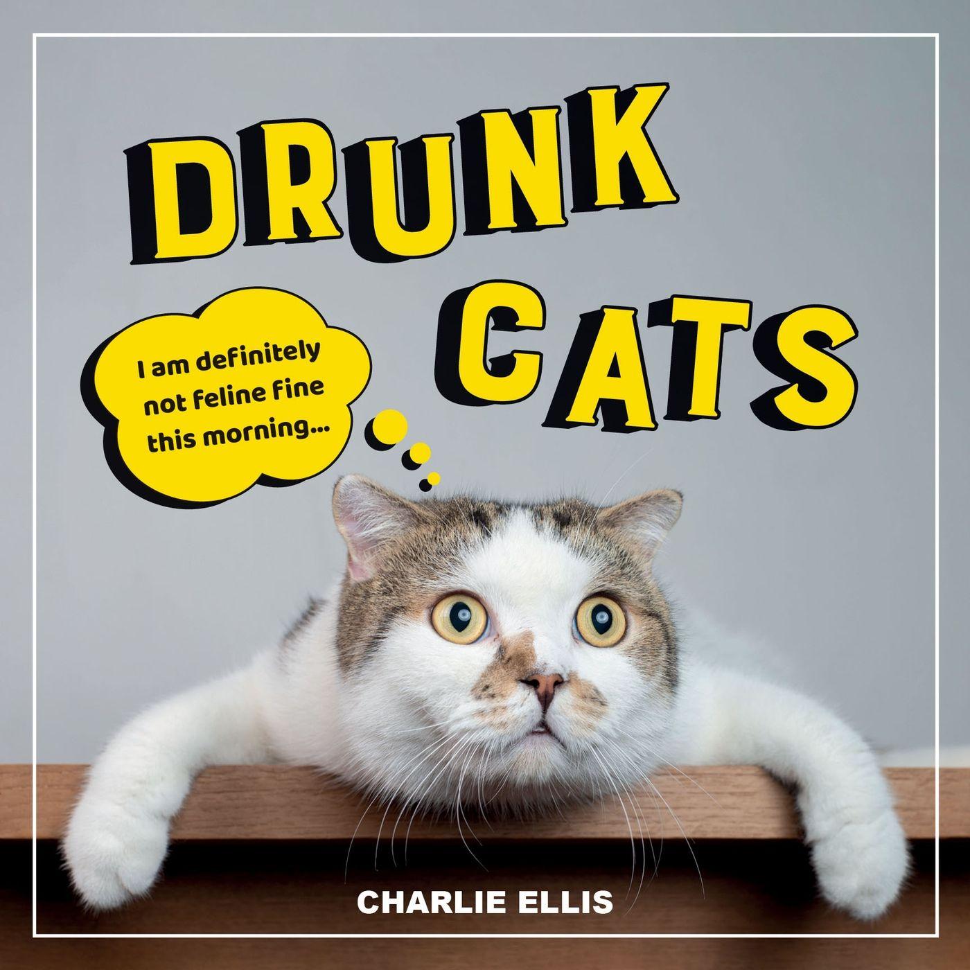 Vorderes Coverbild Drunk Cats