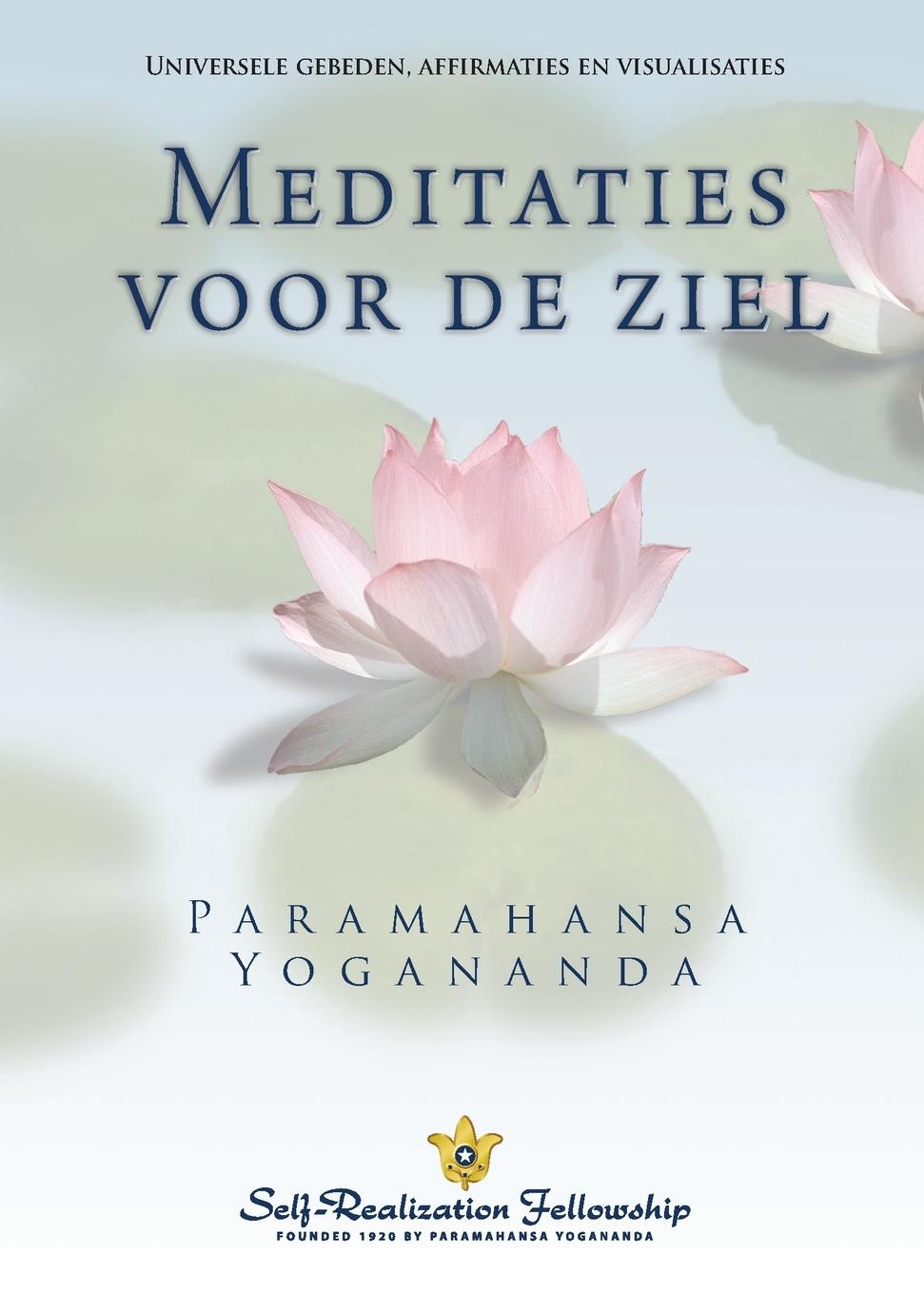 Vorderes Coverbild Metaphysical Meditations (Dutch)