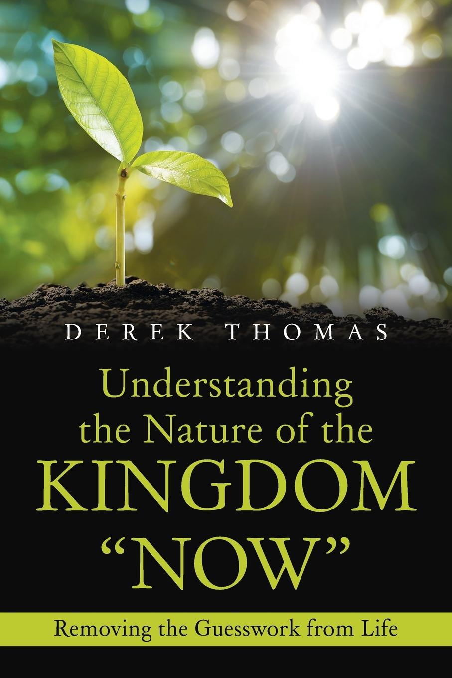Vorderes Coverbild Understanding the Nature of the Kingdom "Now"