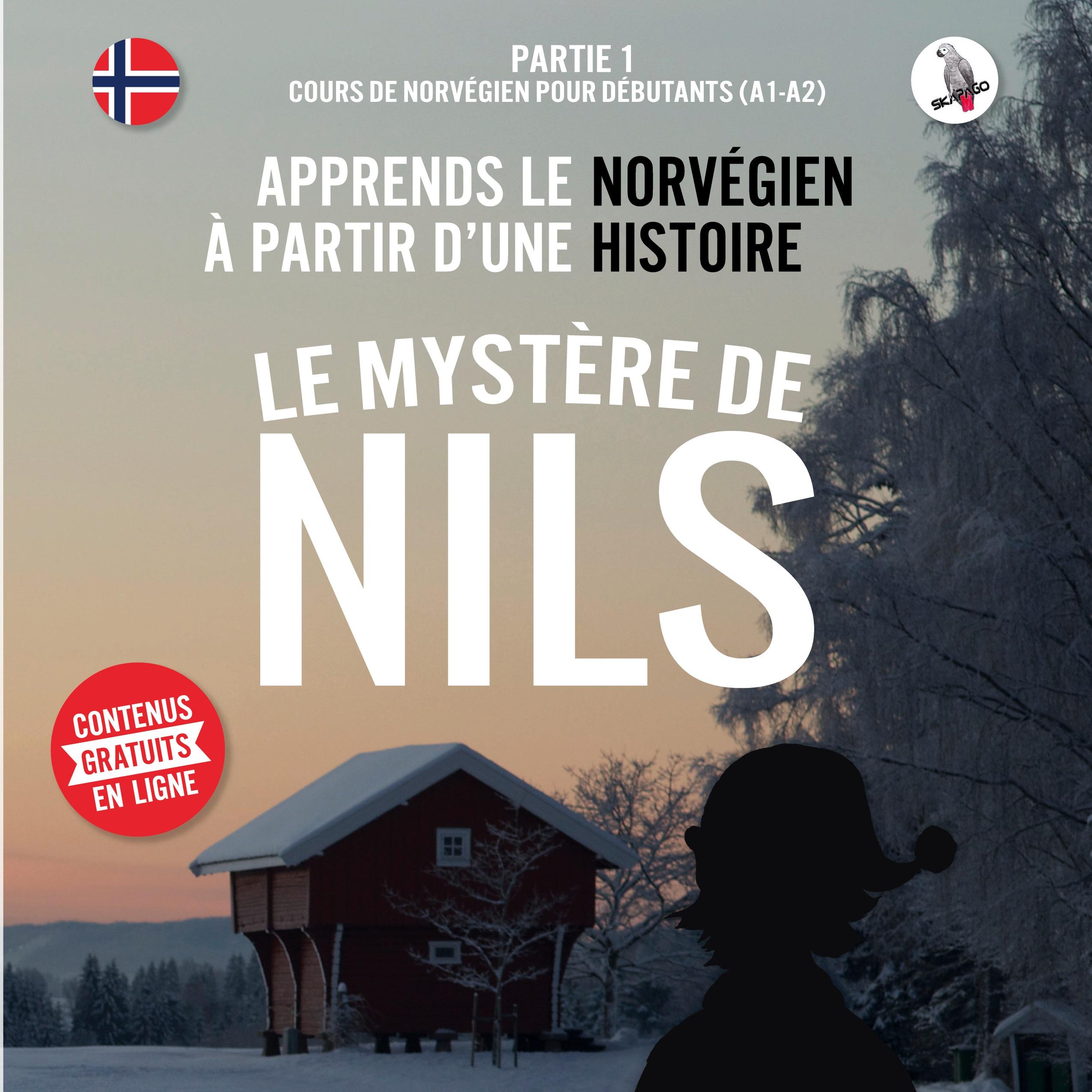 Vorderes Coverbild Le mystère de Nils. Partie 1 - Cours de norvégien pour débutants (A1/A2). Apprends le norvégien à partir d'une histoire.