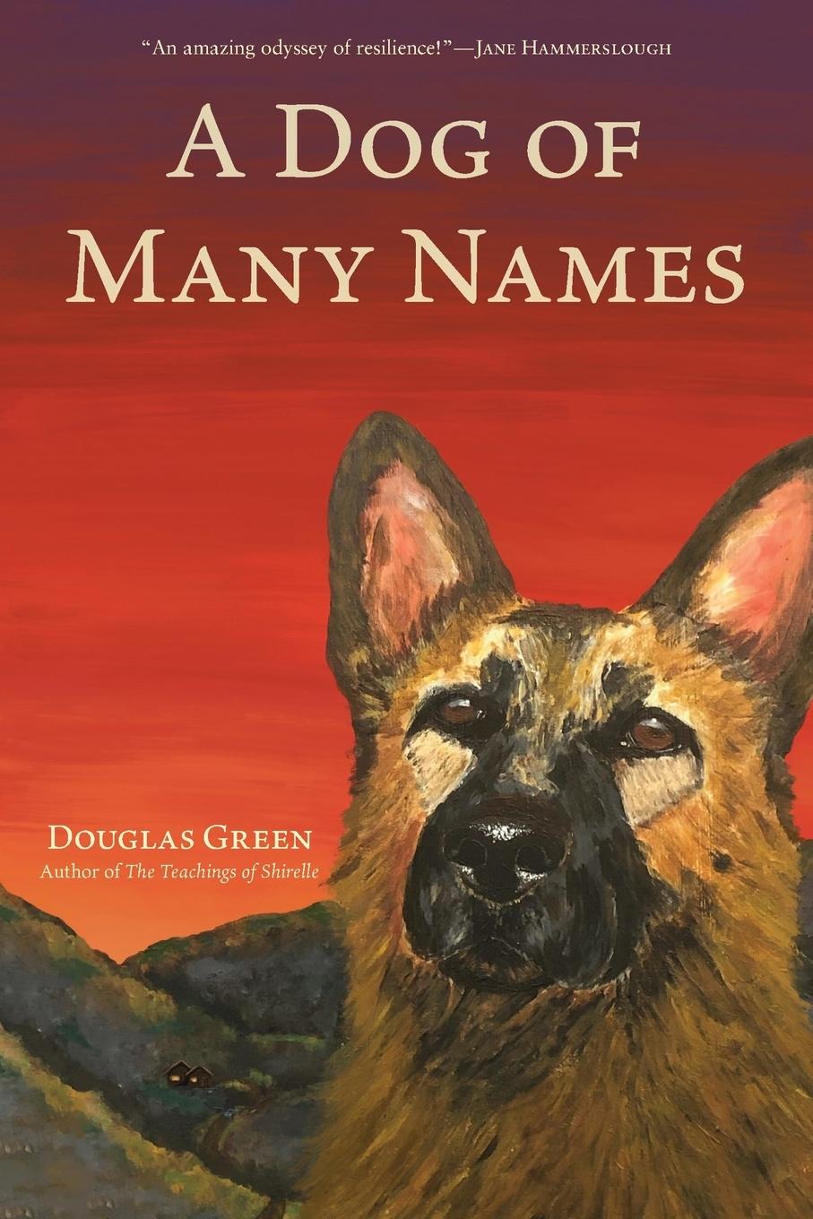Vorderes Coverbild A Dog of Many Names