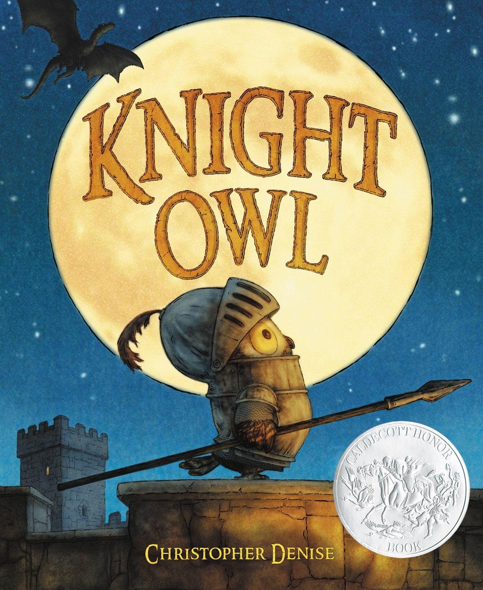 Vorderes Coverbild Knight Owl