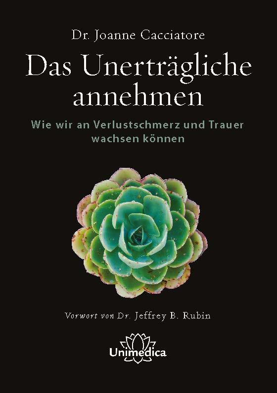 Vorderes Coverbild Das Unerträgliche annehmen