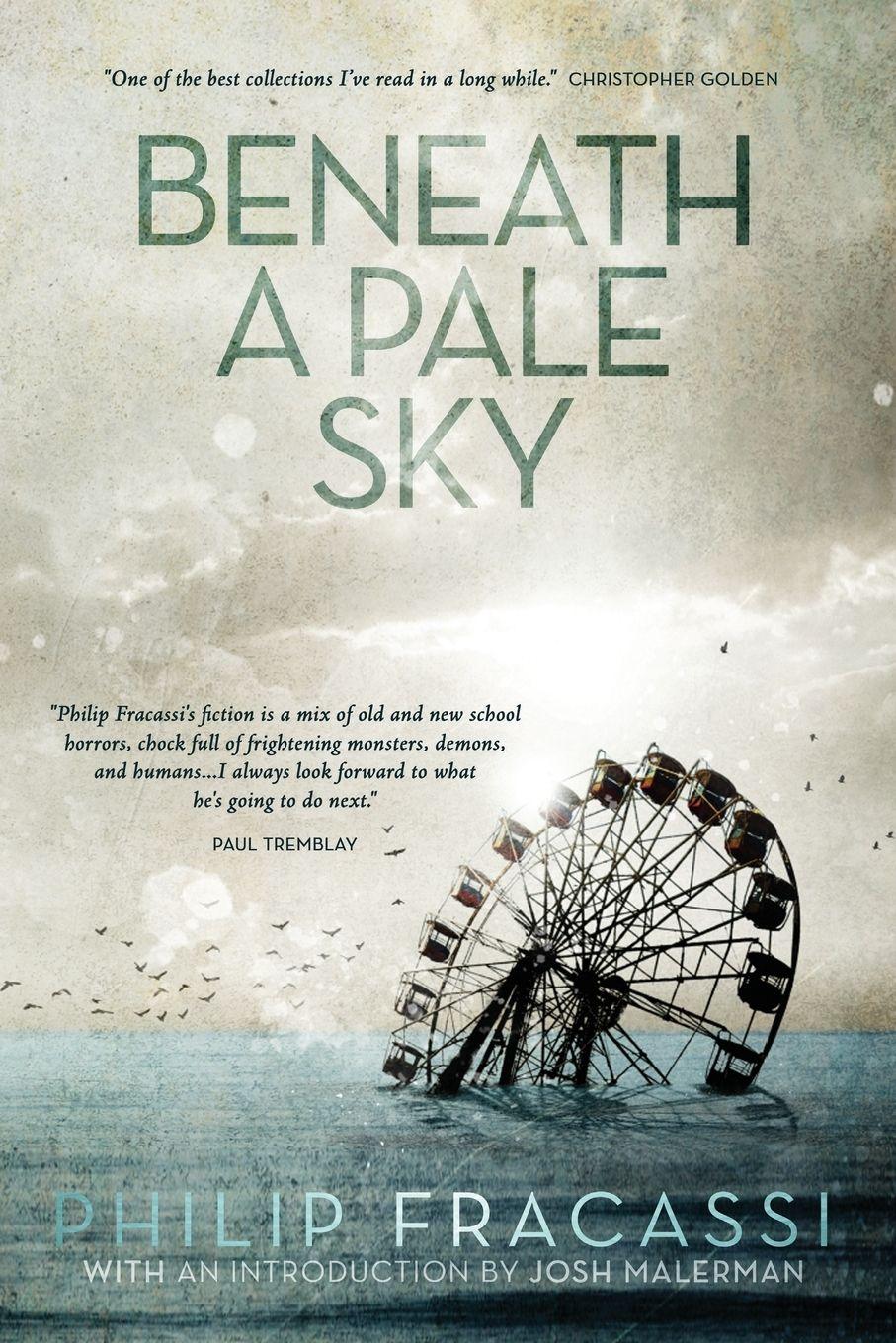 Vorderes Coverbild Beneath a Pale Sky