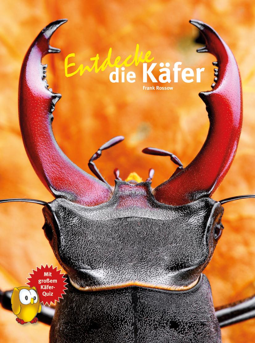 Vorderes Coverbild Entdecke die Käfer
