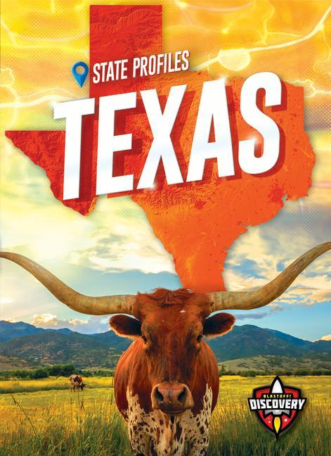 Vorderes Coverbild Texas