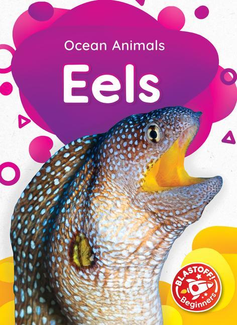 Vorderes Coverbild Eels