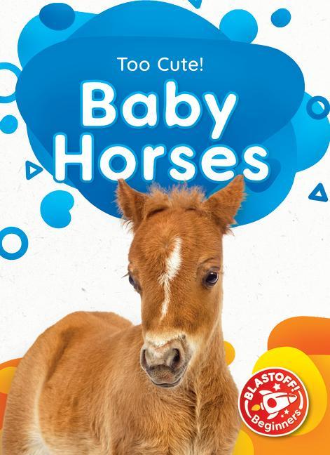 Vorderes Coverbild Baby Horses