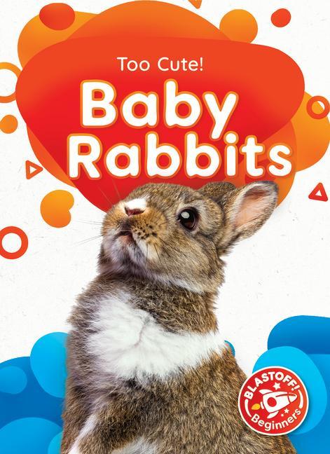 Vorderes Coverbild Baby Rabbits