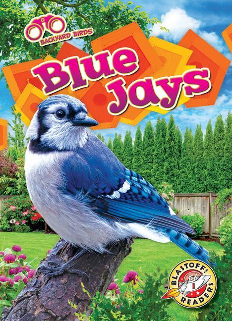 Vorderes Coverbild Blue Jays