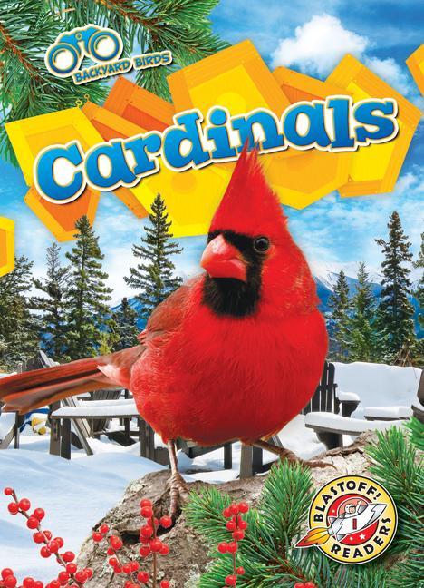 Vorderes Coverbild Cardinals