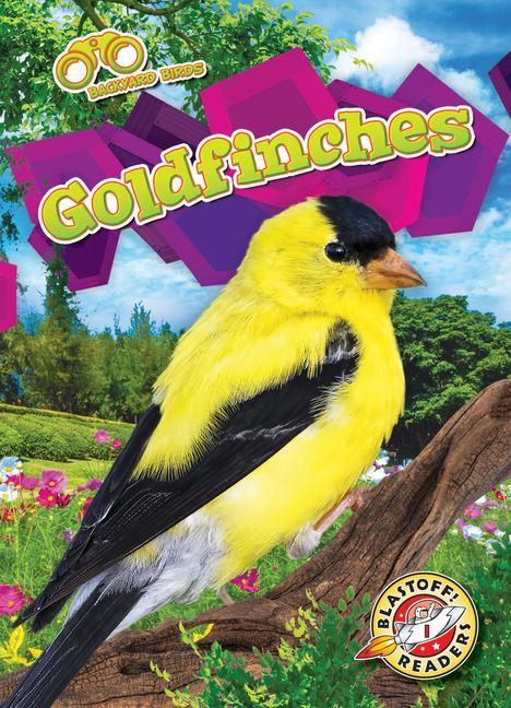 Vorderes Coverbild Goldfinches