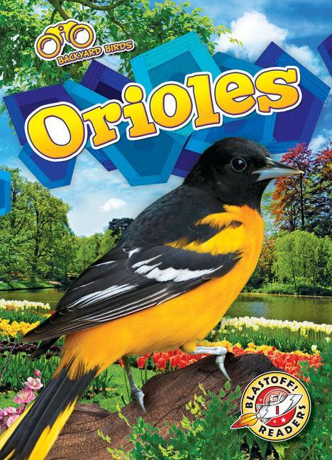 Vorderes Coverbild Orioles