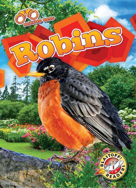 Vorderes Coverbild Robins