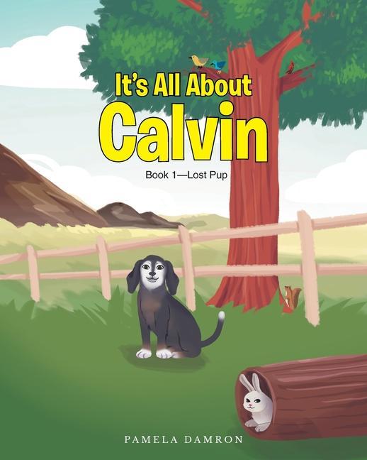 Vorderes Coverbild It's All About Calvin: Book 1-Lost Pup