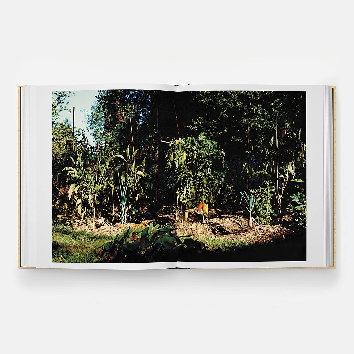 Beispielinhalt (Bild) Septime