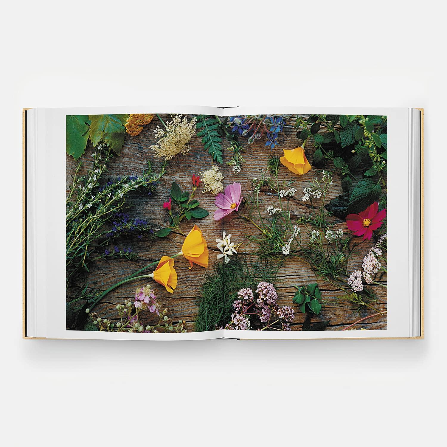 Beispielinhalt (Bild) Septime