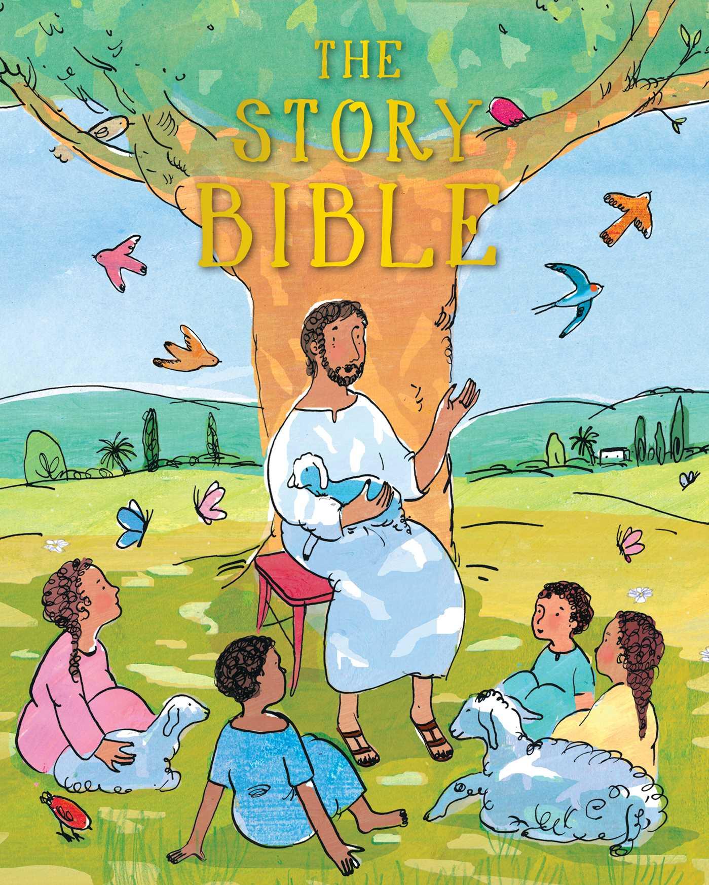 Vorderes Coverbild The Story Bible