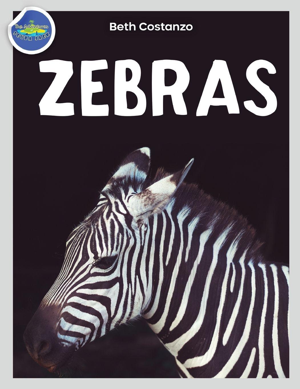 Vorderes Coverbild Zebra Activity Workbook ages 4-8