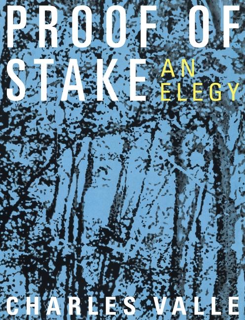 Vorderes Coverbild Proof of Stake