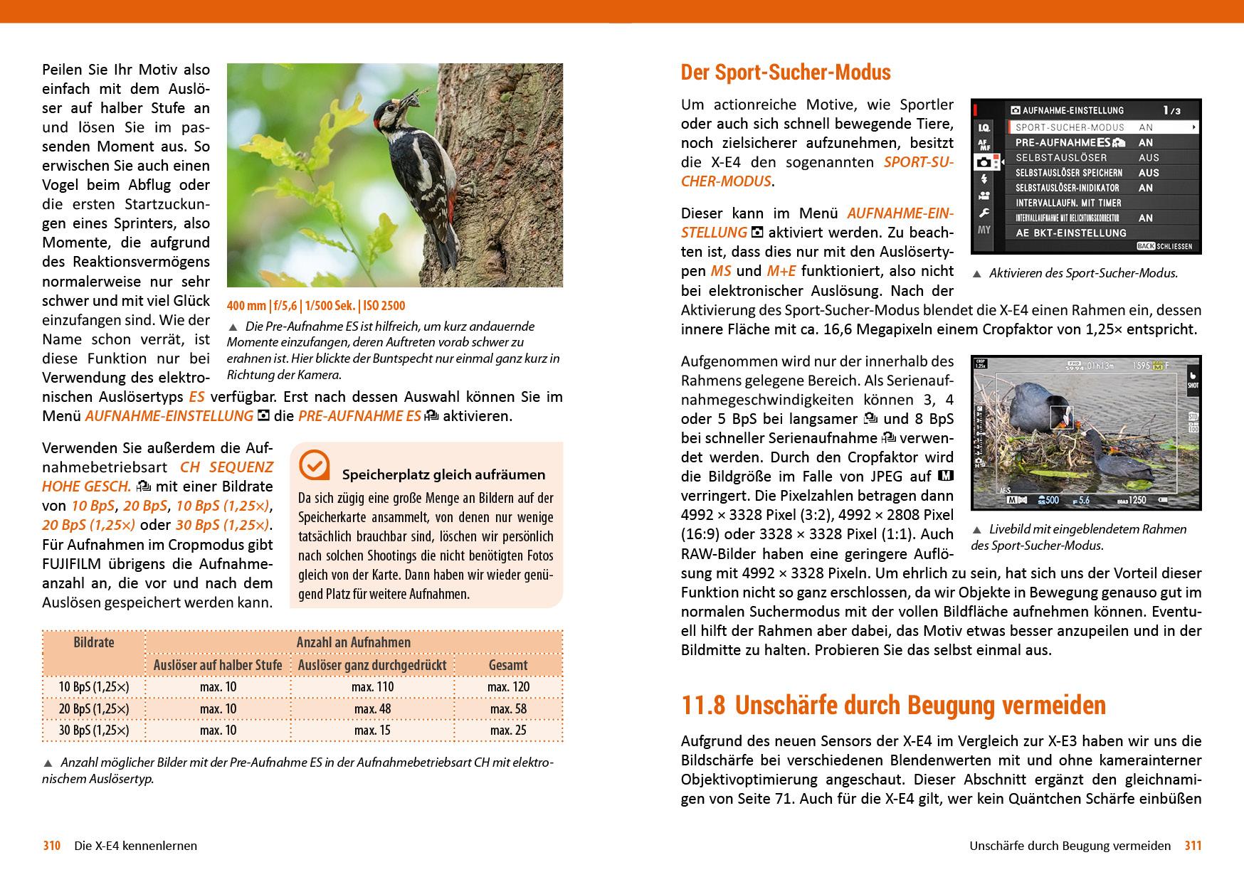 Beispielinhalt (Bild) Fujifilm X-E3 / X-E4