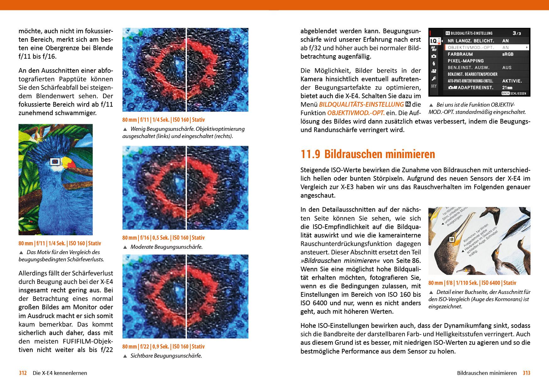 Beispielinhalt (Bild) Fujifilm X-E3 / X-E4