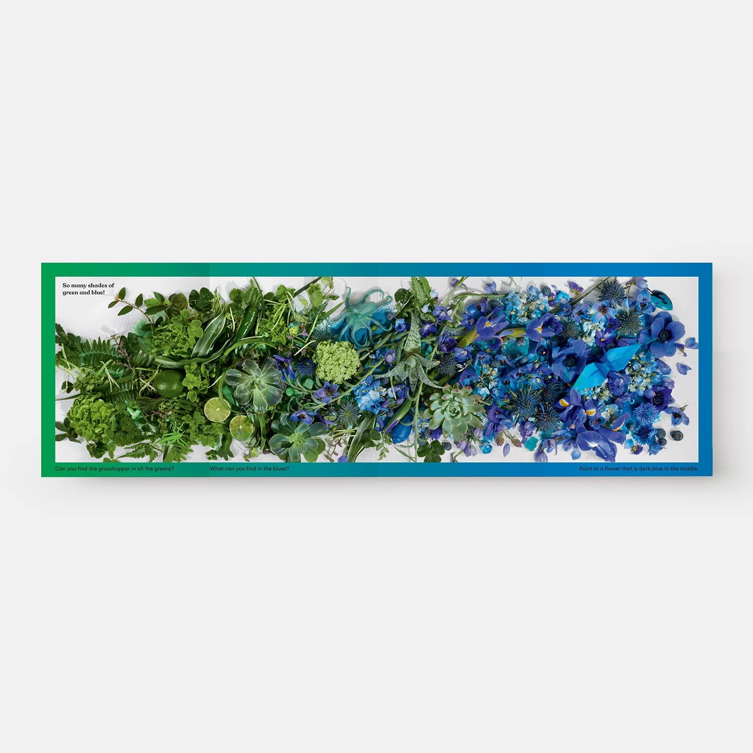 Beispielinhalt (Bild) Rainbows in Bloom