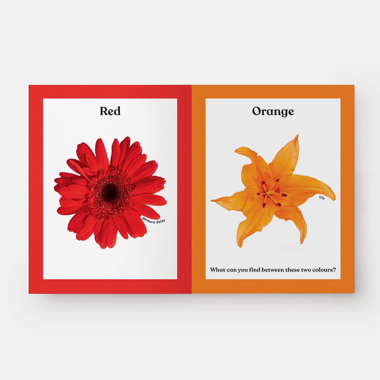 Beispielinhalt (Bild) Rainbows in Bloom