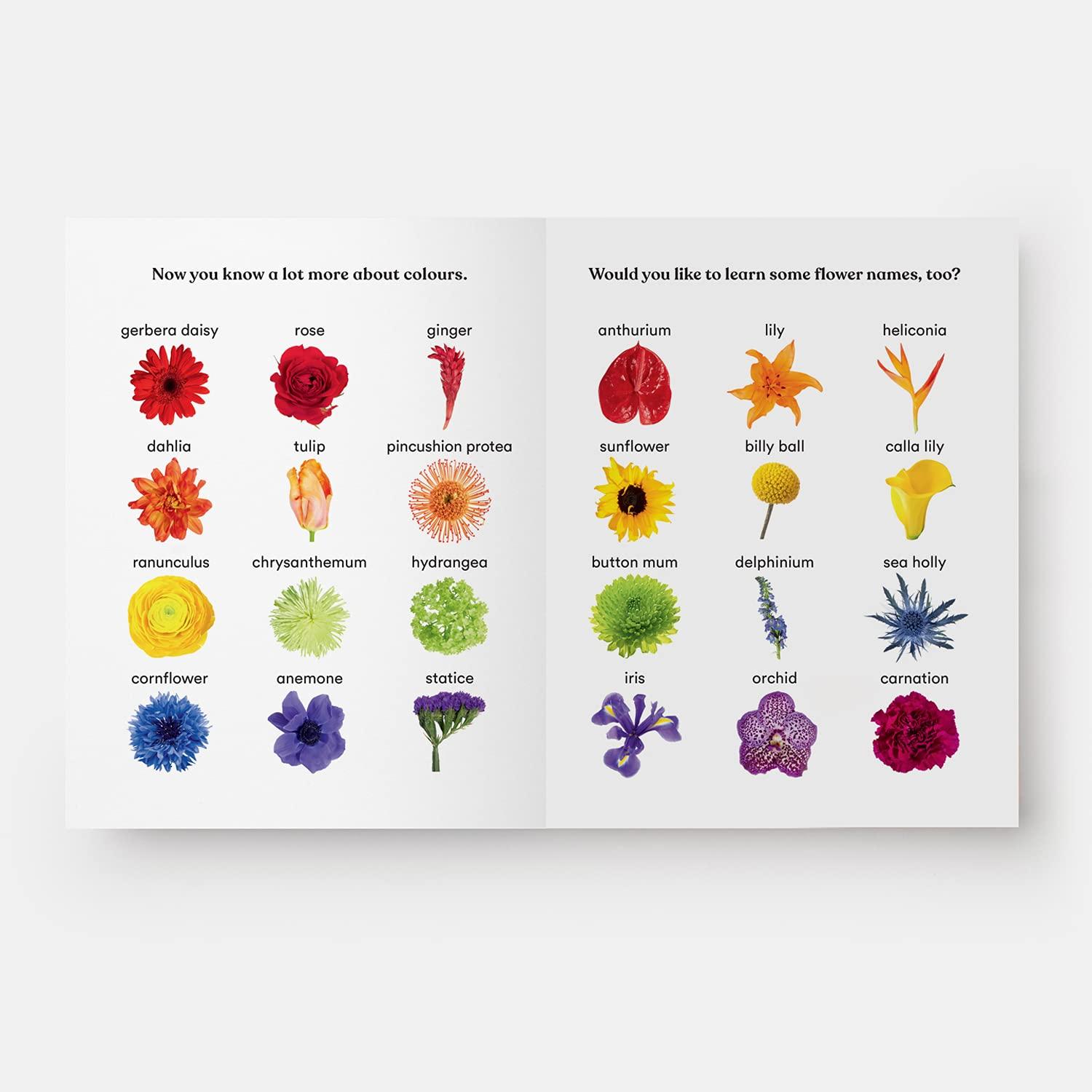 Beispielinhalt (Bild) Rainbows in Bloom