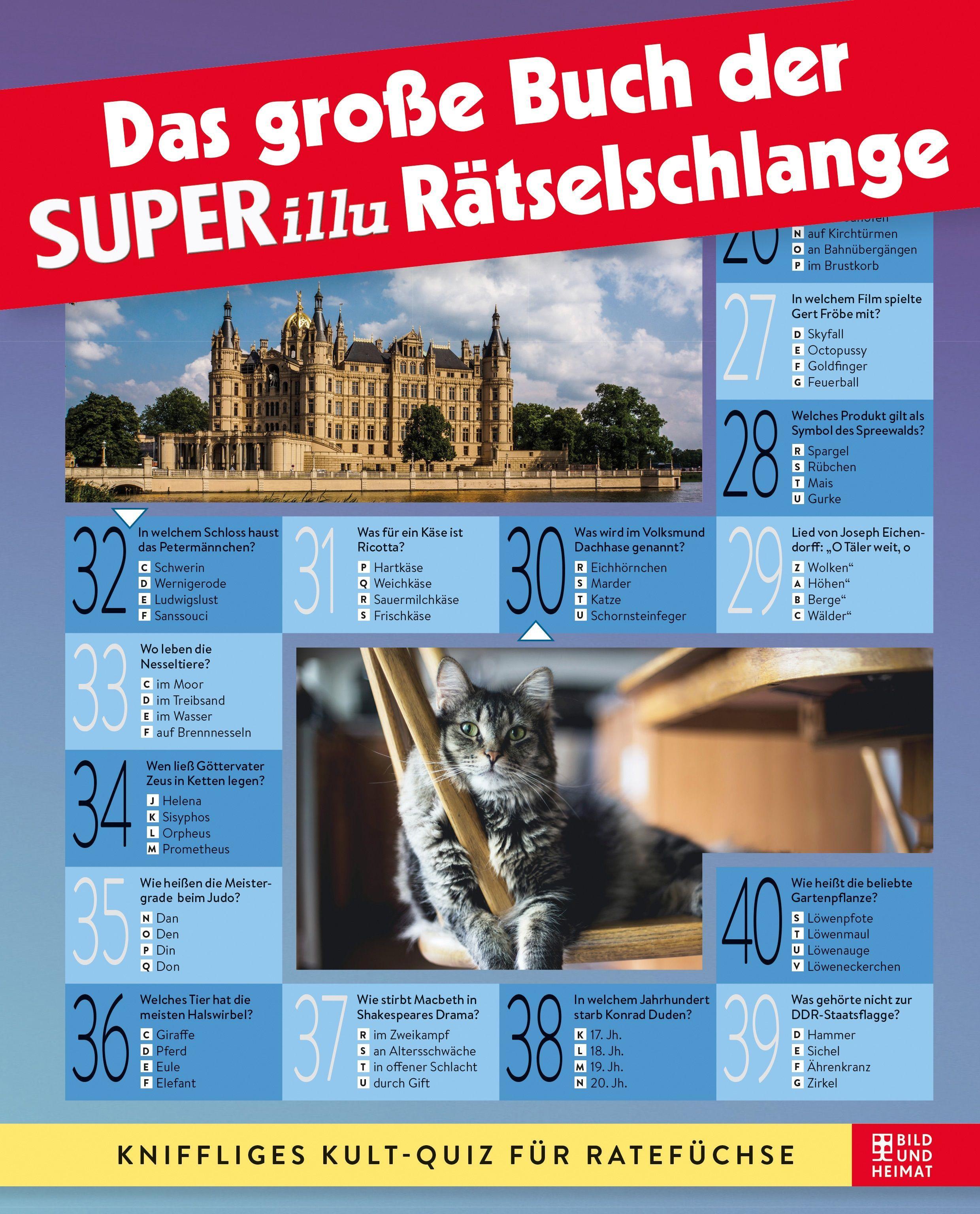Vorderes Coverbild Das große Buch der SUPERillu-Rätselschlange