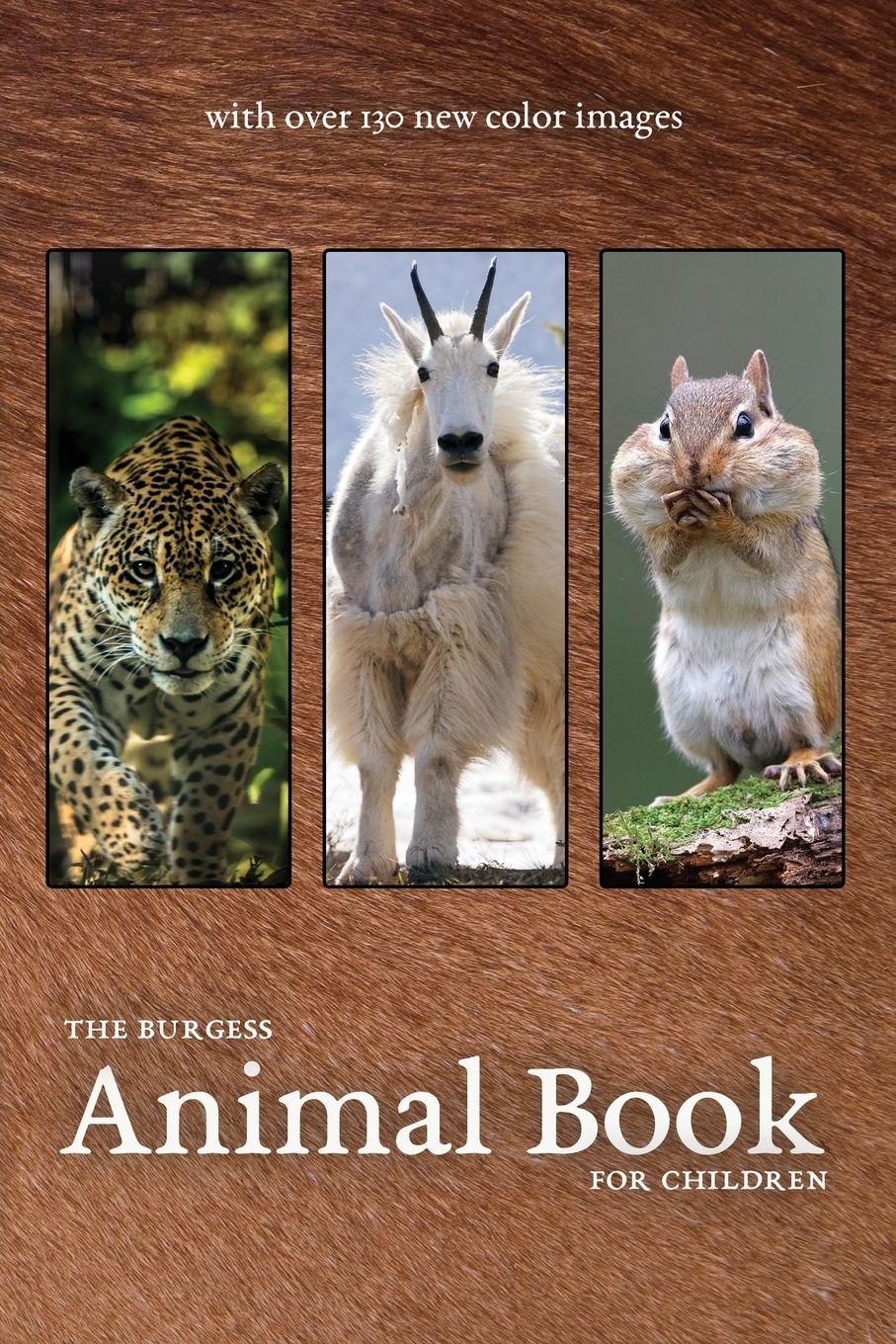 Vorderes Coverbild The Burgess Animal Book with new color images