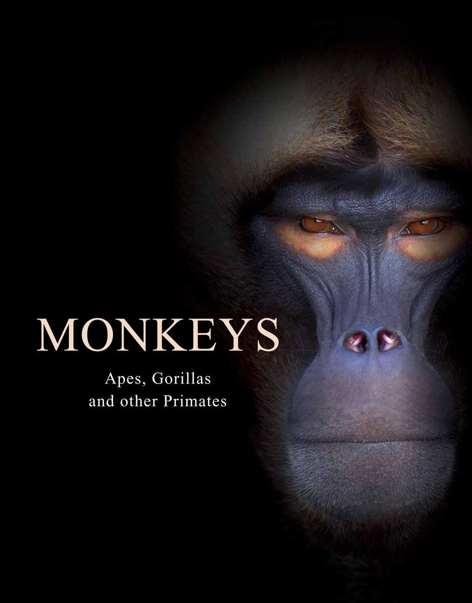 Vorderes Coverbild Monkeys