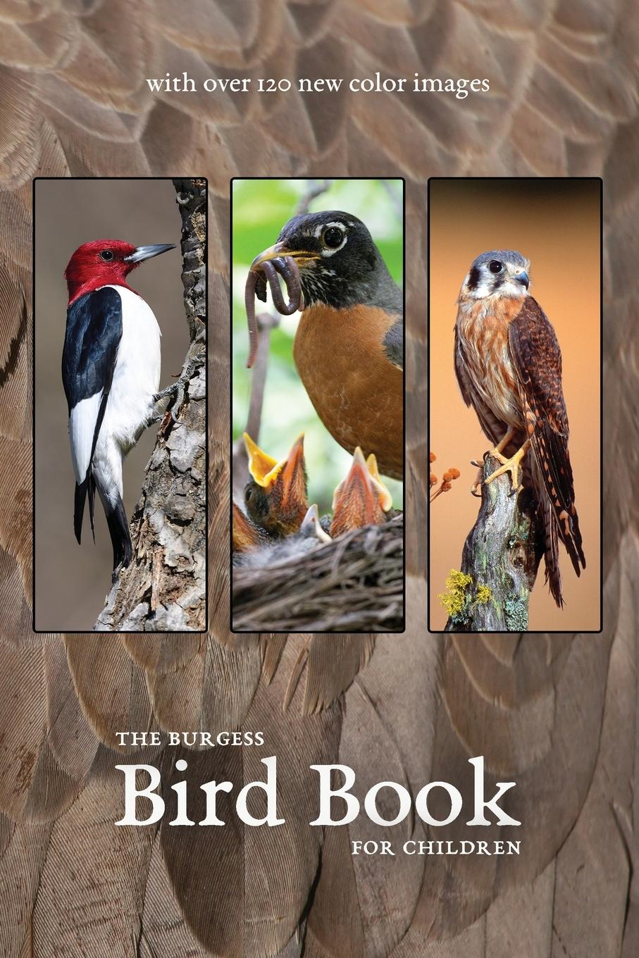 Vorderes Coverbild The Burgess Bird Book with new color images