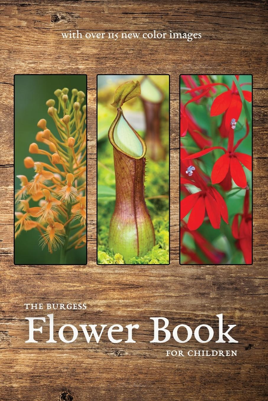 Vorderes Coverbild The Burgess Flower Book with new color images
